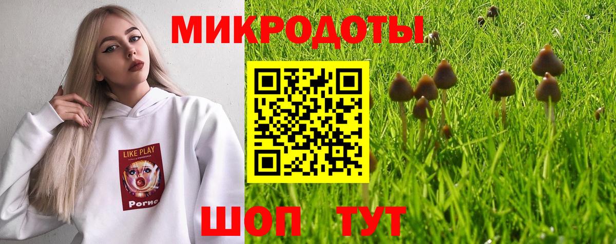 Чебоксары  Галлюциногенные грибы мухоморы  Вход с VPN  Псилоцибиновые грибы MAGIC MUSHROOMS 
