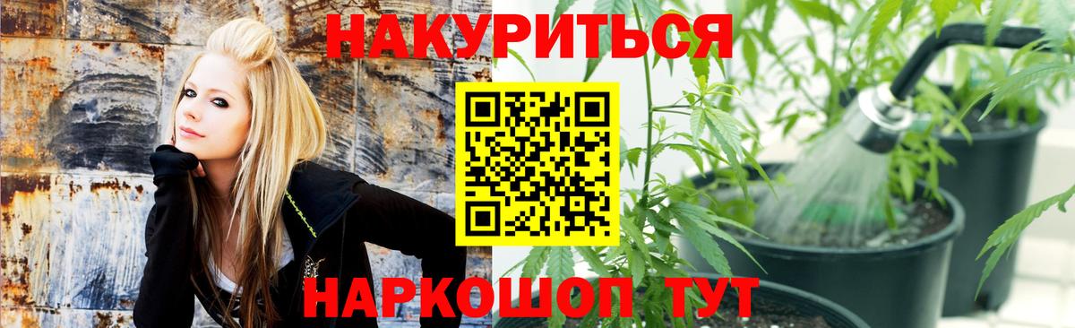 МАРИХУАНА гибрид  Бошки Шишки White Widow  Чебоксары  Вход с VPN  Бошки марихуана планчик 